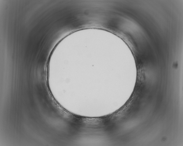 X0000095541150200712141018