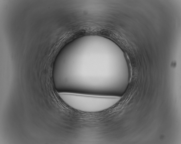 X0000095541153200712141017