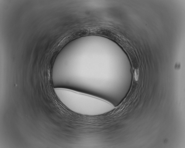 X0000095541155200712141017