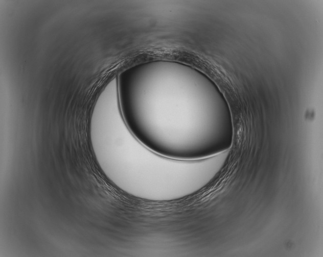 X0000095541156200712141017