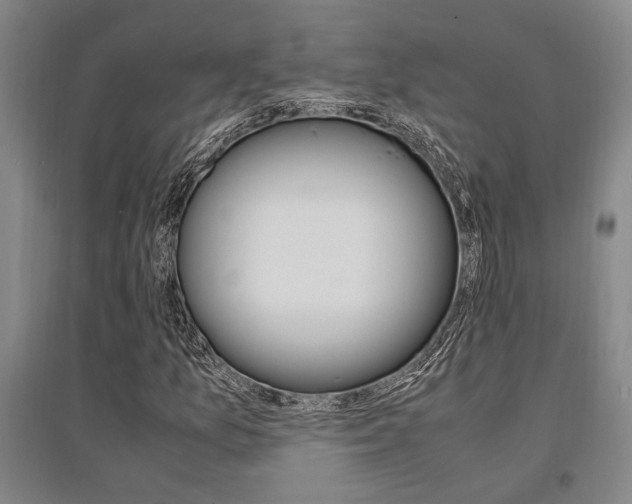 X0000095541157200712141017