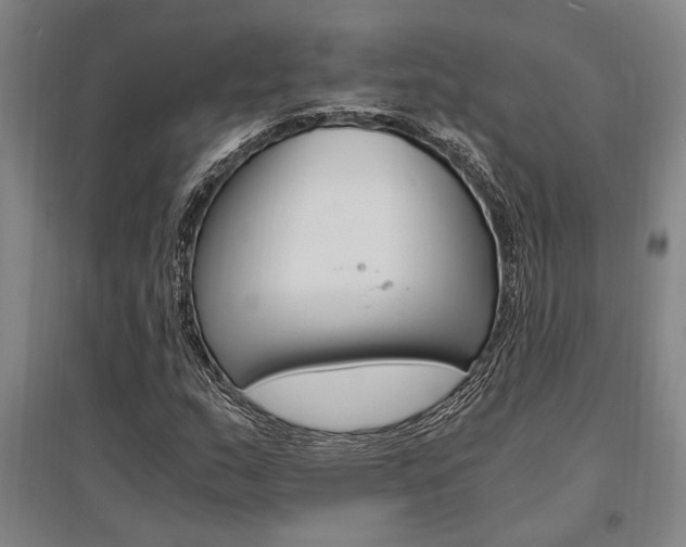 X0000095541159200712141017