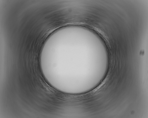 X0000095541161200712141017