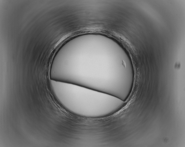 X0000095541162200712141017
