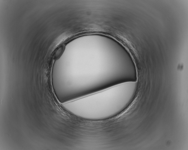 X0000095541163200712141017