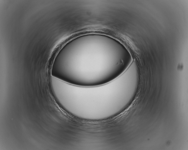 X0000095541164200712141017