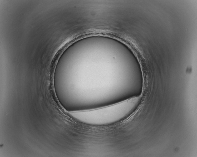X0000095541165200712141017