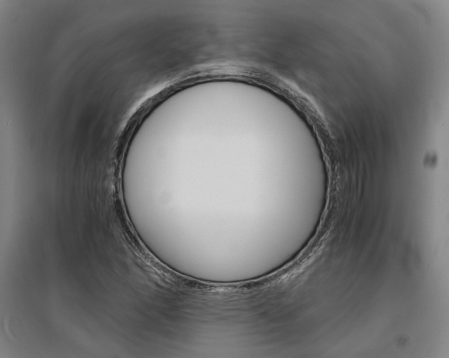 X0000095541166200712141017