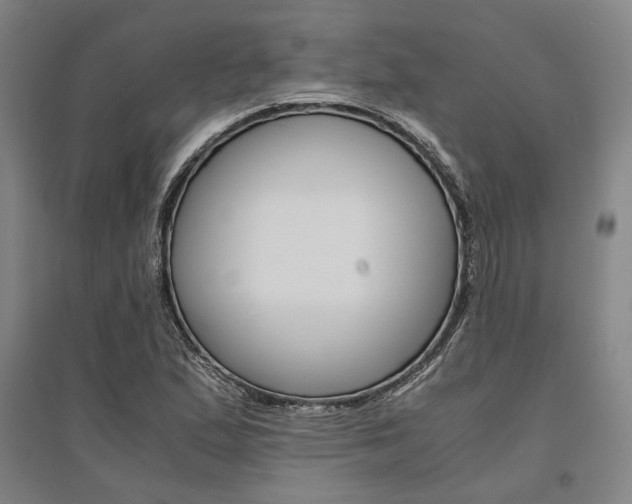 X0000095541167200712141017