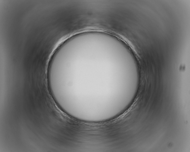 X0000095541168200712141017