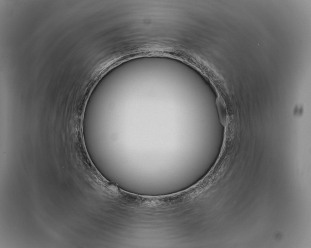 X0000095541169200712141017