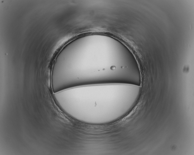 X0000095541171200712141017