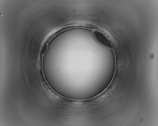X0000095541172200712141017