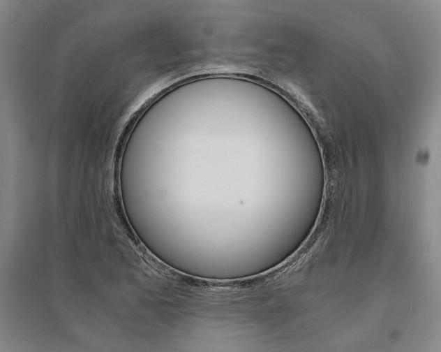 X0000095541173200712141017