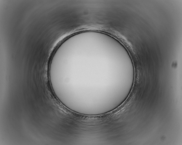 X0000095541174200712141017