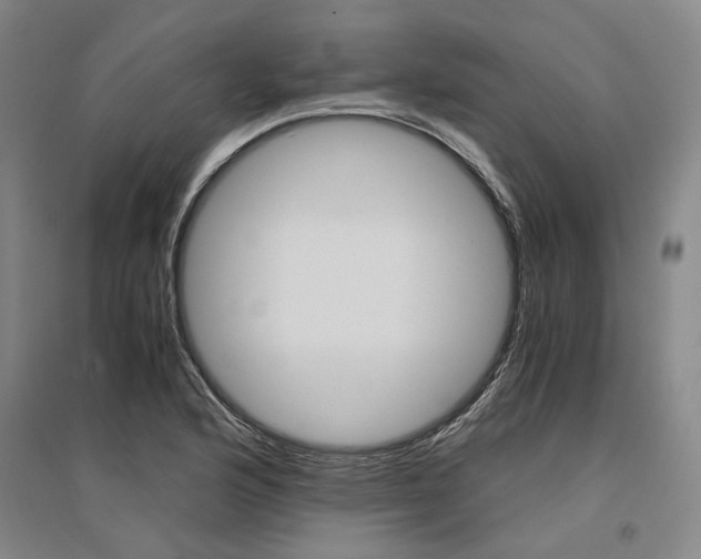 X0000095541176200712141017