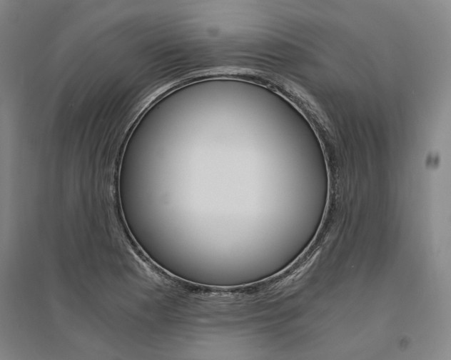 X0000095541177200712141017
