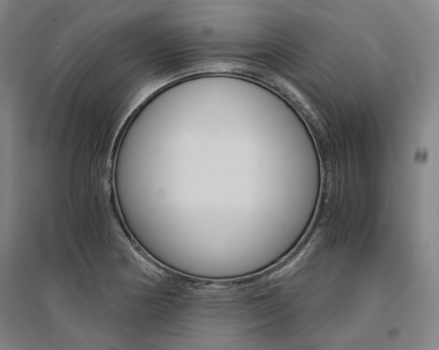 X0000095541178200712141017