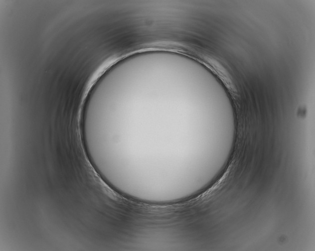 X0000095541180200712141017