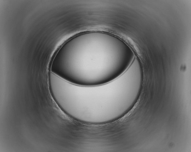 X0000095541184200712141017
