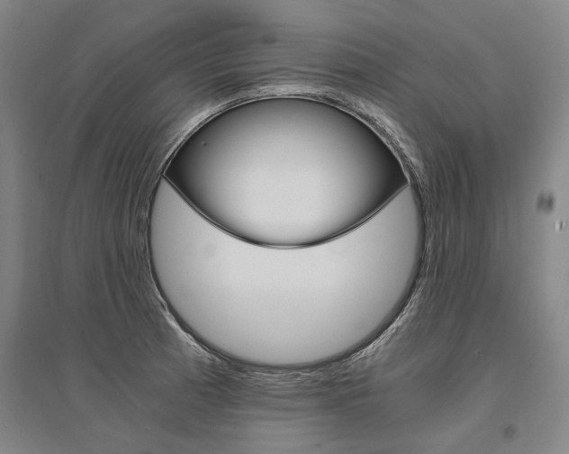 X0000095541185200712141017