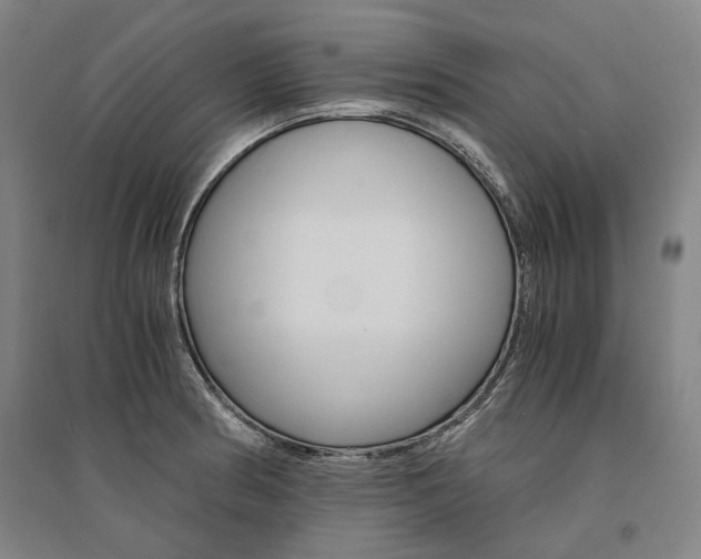 X0000095541186200712141017