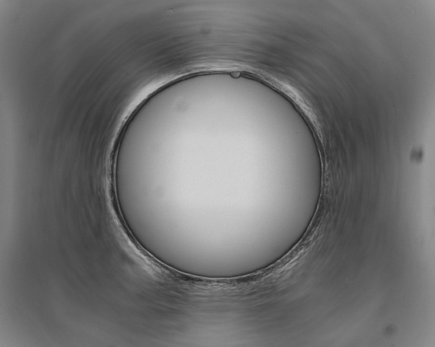 X0000095541187200712141017