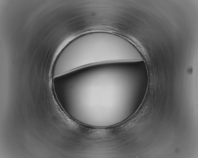 X0000095541188200712141017