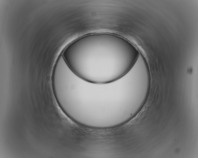 X0000095541189200712141017