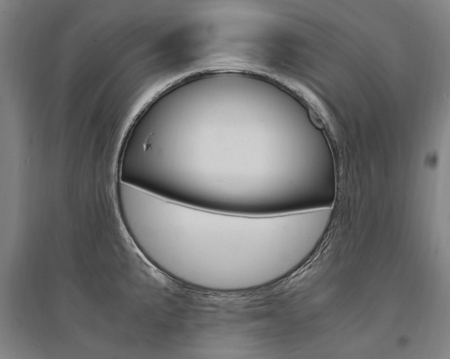X0000095541191200712141017