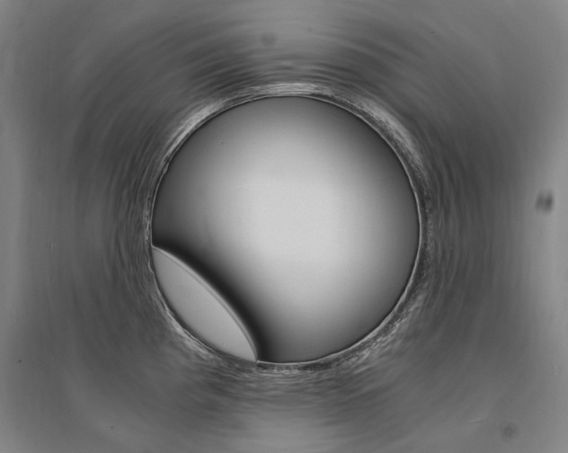 X0000095541193200712141017