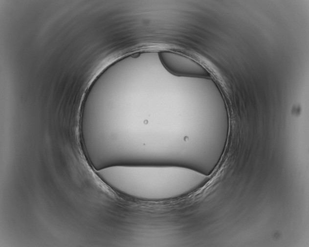 X0000095541194200712141017