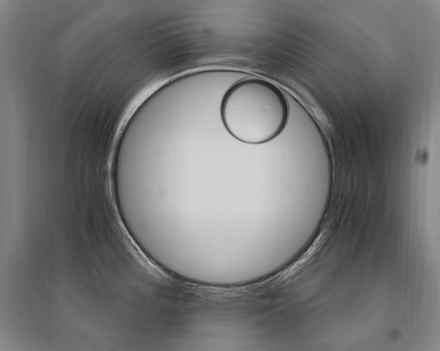 X0000095541196200712141016
