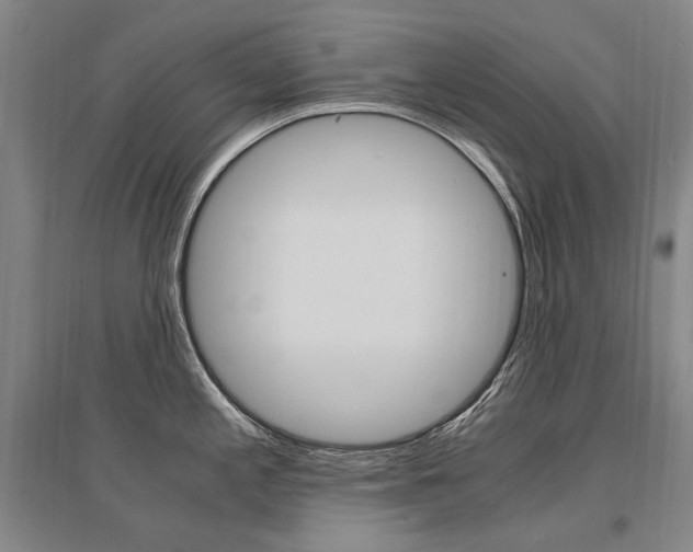 X0000095541197200712141016