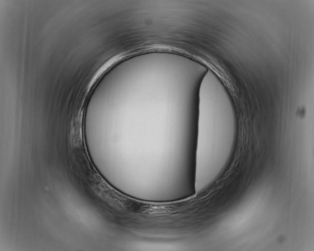 X0000095541198200712141016