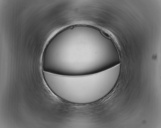 X0000095541199200712141016