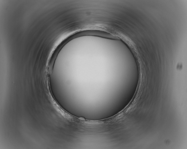 X0000095541200200712141016