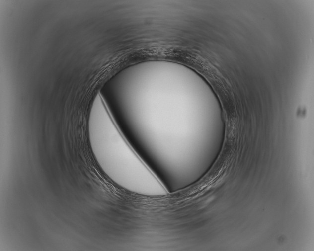 X0000095541202200712141016