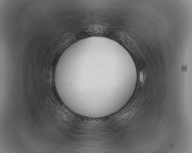 X0000095541203200712141016