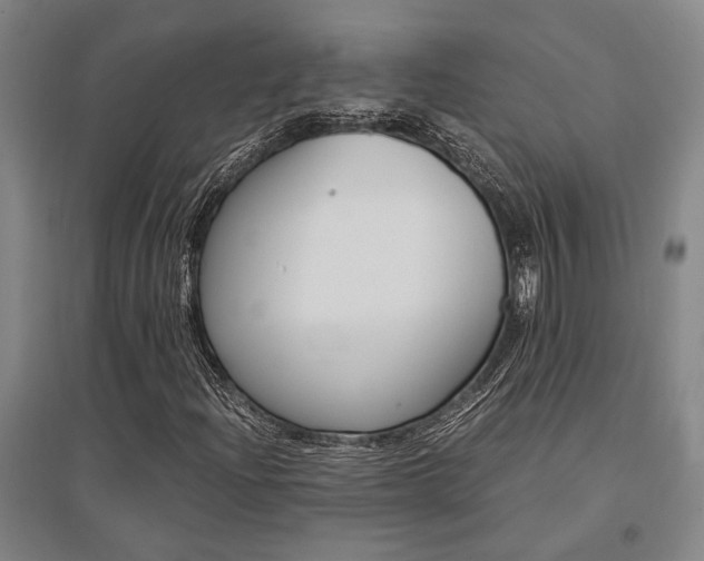 X0000095541204200712141016