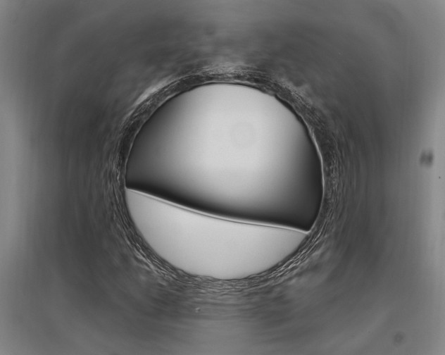 X0000095541206200712141016