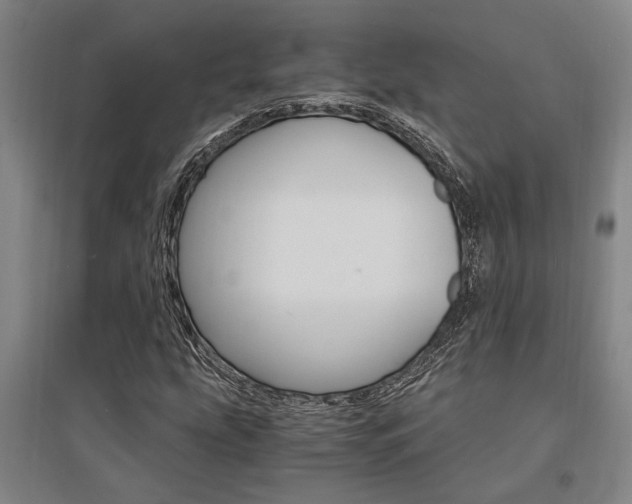 X0000095541207200712141016