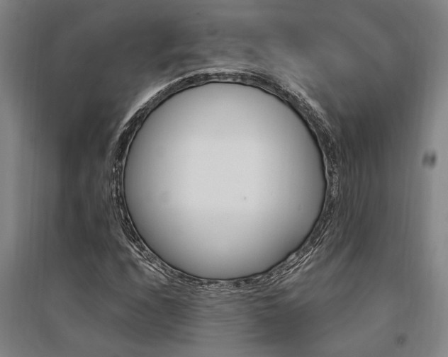 X0000095541208200712141016