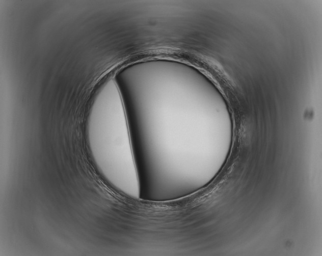 X0000095541209200712141016