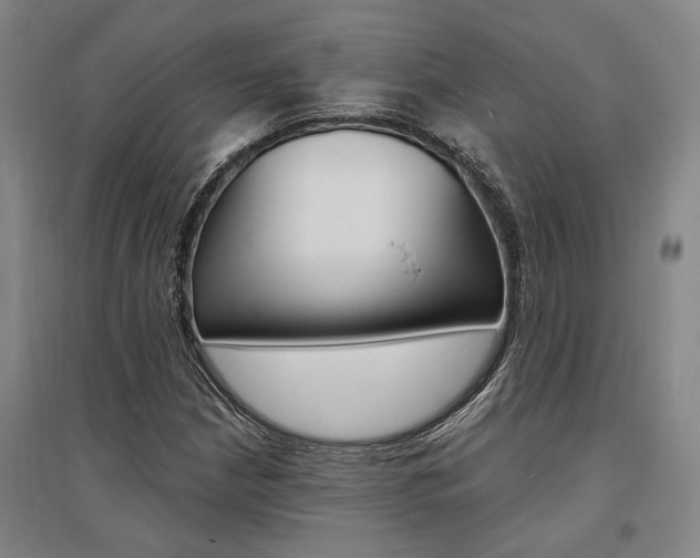 X0000095541210200712141016