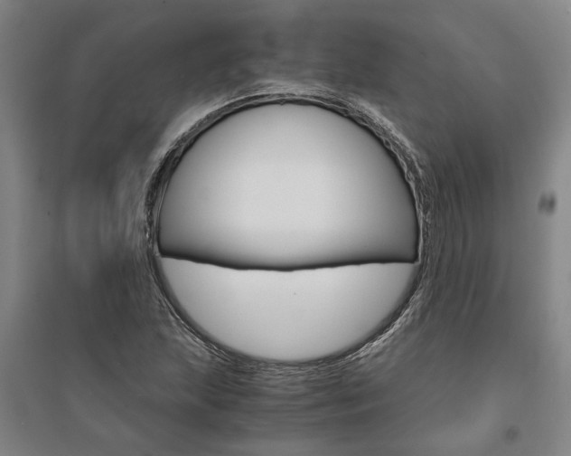 X0000095541215200712141016