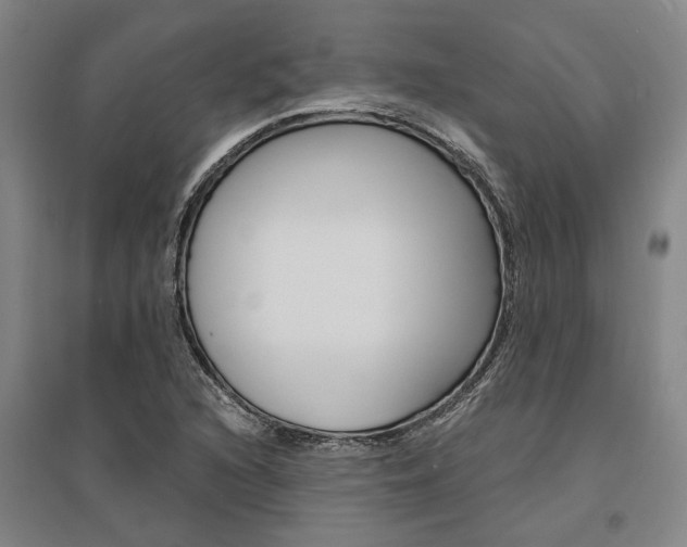 X0000095541216200712141016