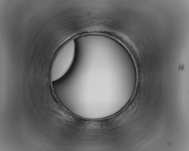 X0000095541217200712141016