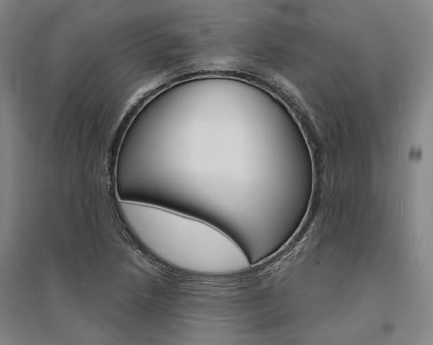 X0000095541218200712141016