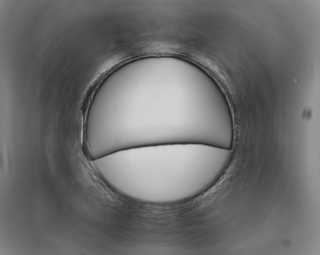 X0000095541219200712141016
